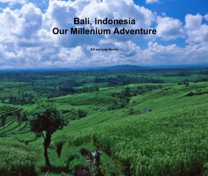 Bali, IndonesiaOur Millenium Adventure book cover