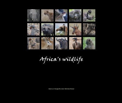 Africa's wildlife book cover