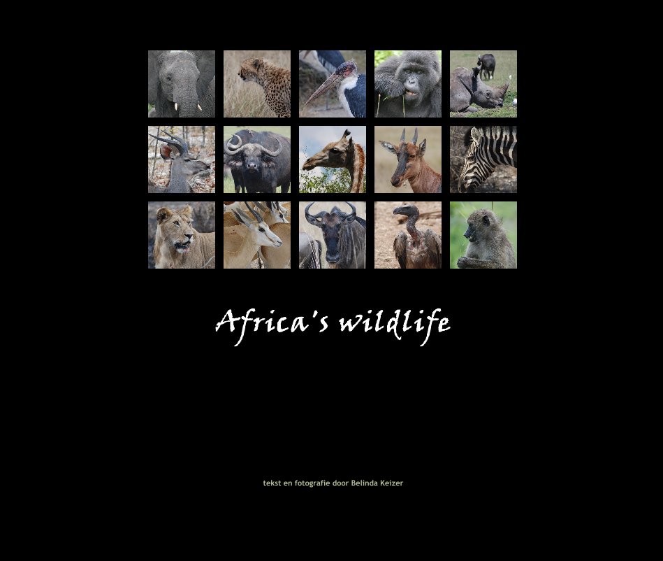 Bekijk Africa's wildlife op tekst en fotografie door Belinda Keizer