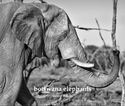 botswana elephants book cover