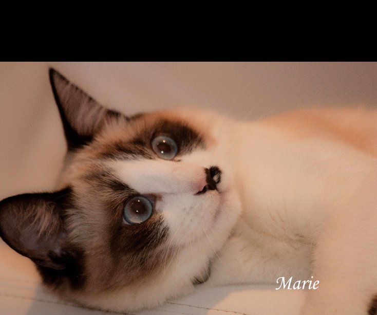 Ver Marie por PET PICS Professional Photo