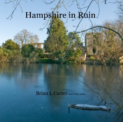 Hampshire in Ruin book cover
