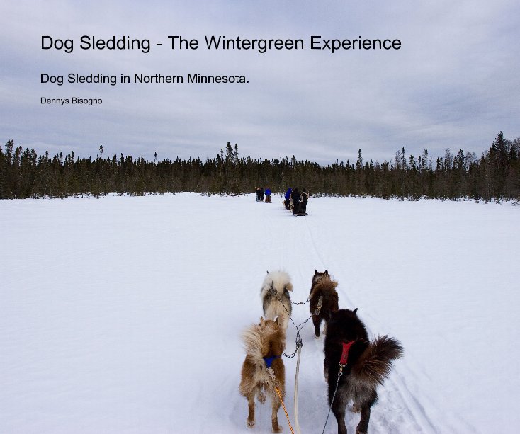 View Dog Sledding - The Wintergreen Experience by Dennys Bisogno