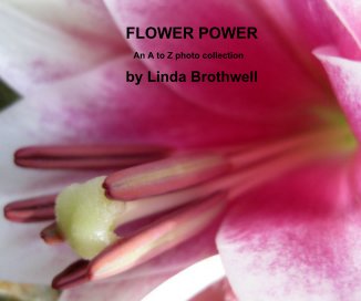 FLOWER POWER book cover