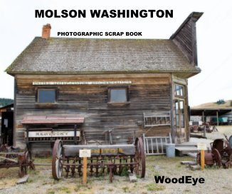 MOLSON WASHINGTON book cover