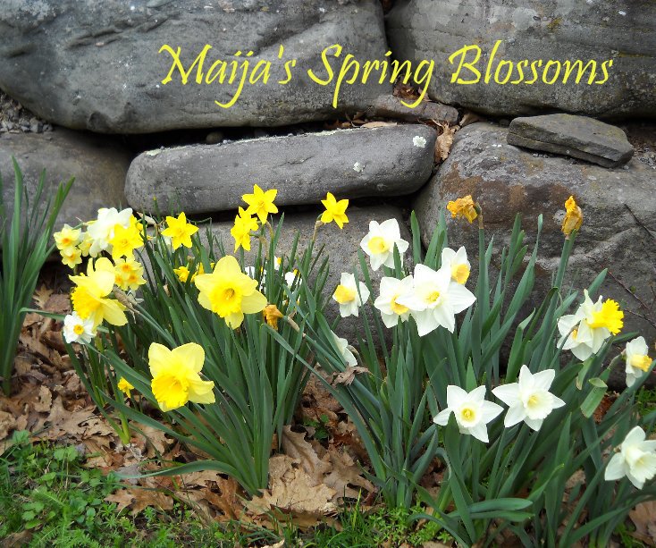 View Maija's Spring Blossoms by Irene Aizstrauts