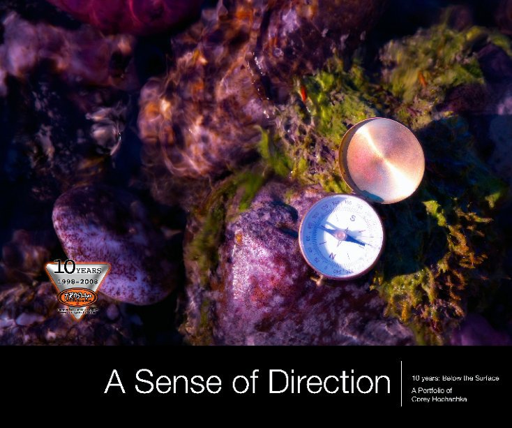 View A Sense of Direction by Corey Hochachka