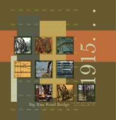 Big Run Road Bridge book cover