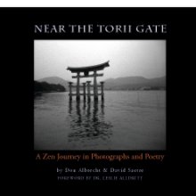 Near the Torii Gate book cover