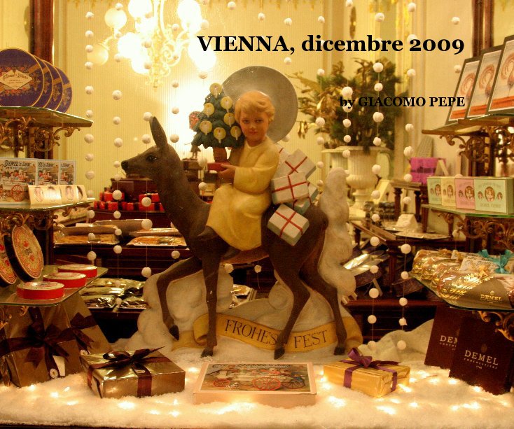 View VIENNA, dicembre 2009 by GIACOMO PEPE