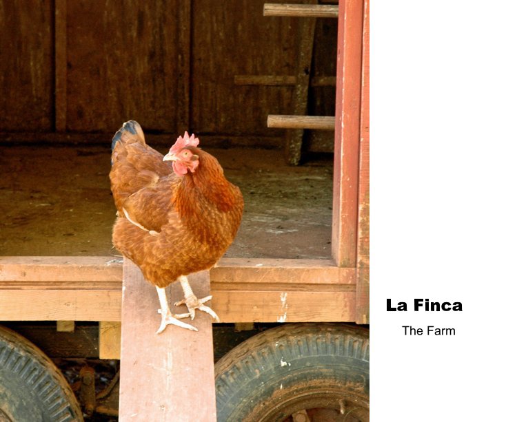 Visualizza La Finca The Farm di iConnect Photography Workshop