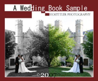 A Wedding Book Sample book cover