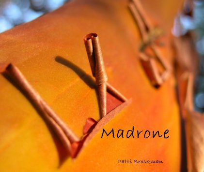 Madrone book cover