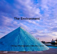 The Environment book cover