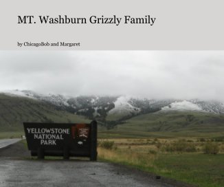 MT. Washburn Grizzly Family book cover