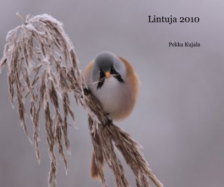Lintuja 2010 book cover