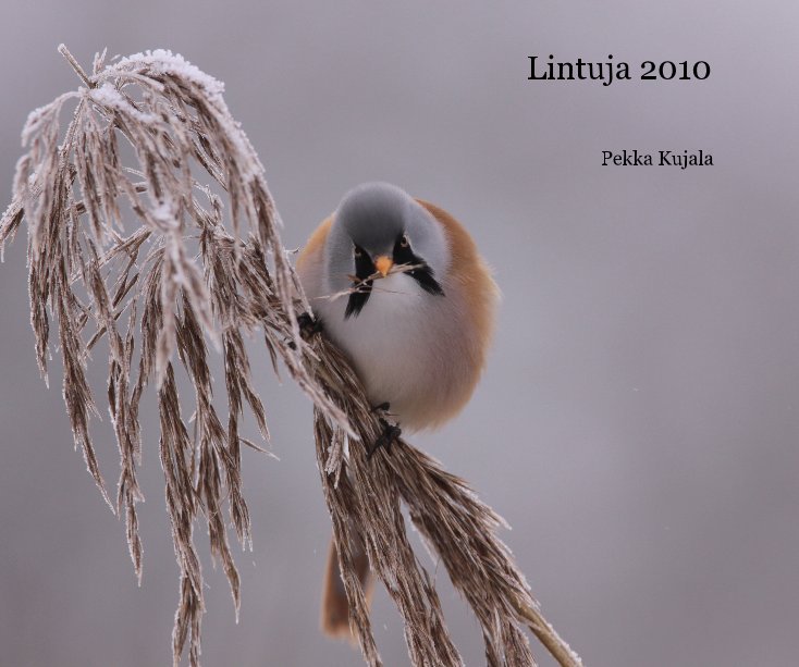 Bekijk Lintuja 2010 op Pekka Kujala