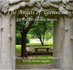 The Angels of Glenwood book cover