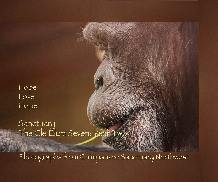 View Sanctuary: Year Two by Chimpanzee Sanctuary Northwest with Margaret Parkinson, Kathy Cochran and a foreword by Mary Murray