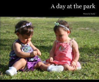 A day at the park book cover