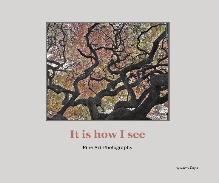 View It is how I see by Larry Doyle