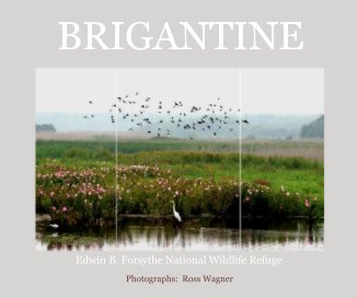 BRIGANTINE book cover