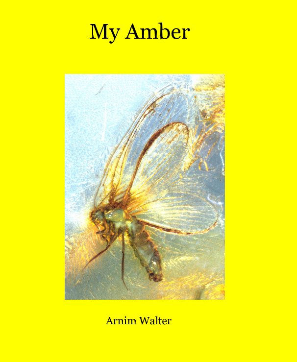 View My Amber by Arnim Walter