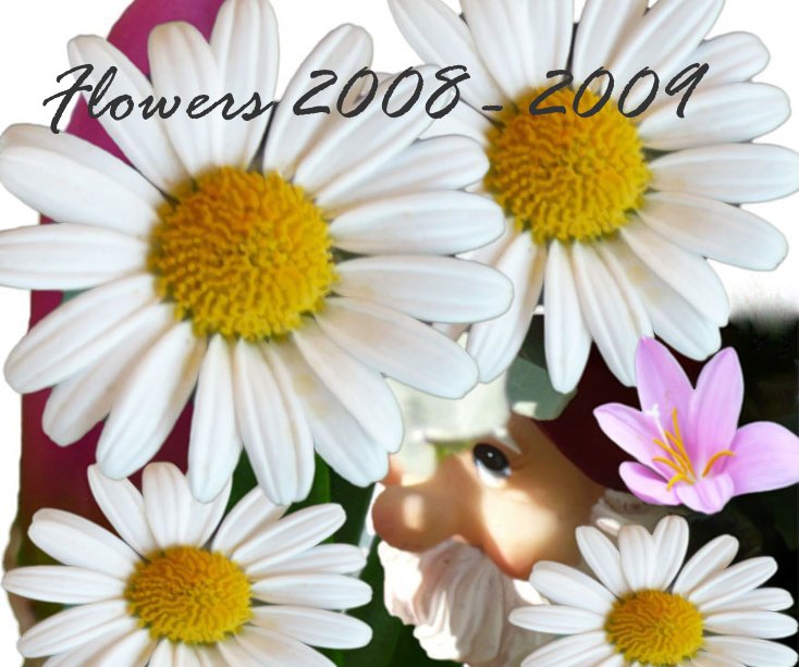 View Flowers 2008 - 2009 by Annalisa Gennai
