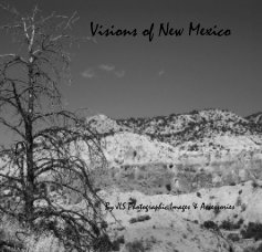 Visions of New Mexico book cover