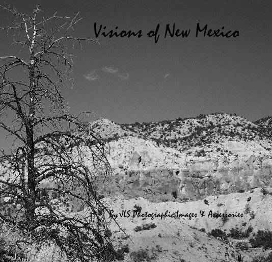 View Visions of New Mexico by Jennifer L. Singer