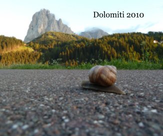 Dolomiti 2010 book cover
