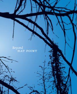Beyond Hat Point book cover