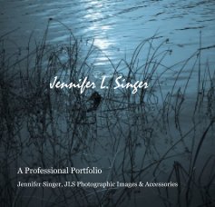 Jennifer L. Singer book cover
