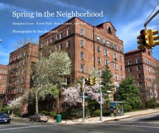 Spring in the Neighborhood book cover