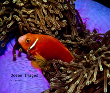 Ocean Images book cover