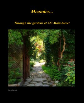 Meander... book cover
