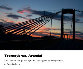 Tromøybrua, Arendal book cover