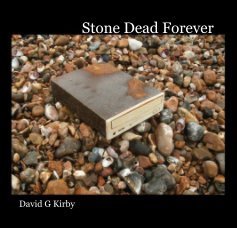 Stone Dead Forever book cover