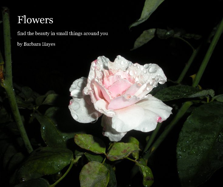 Ver Flowers por Barbara Hayes
