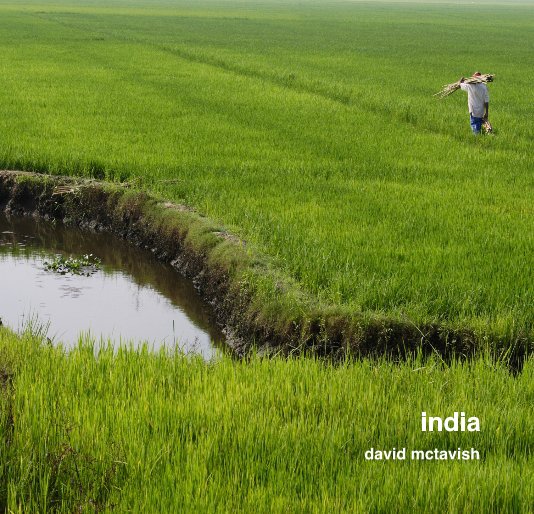 View india by david mctavish