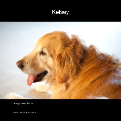 Kelsey book cover