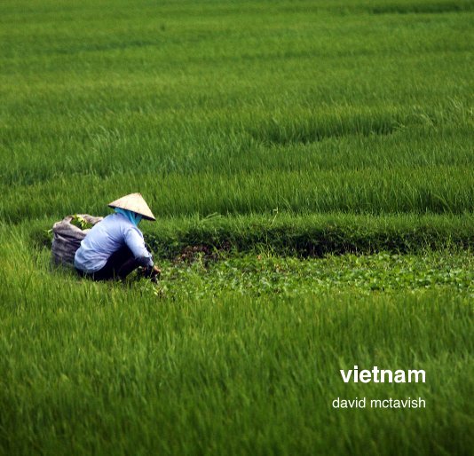 View vietnam by david mctavish
