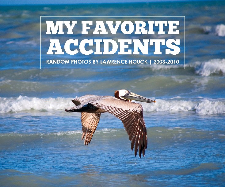 View My Favorite Accidents - Version 2 by Lawrence Houck