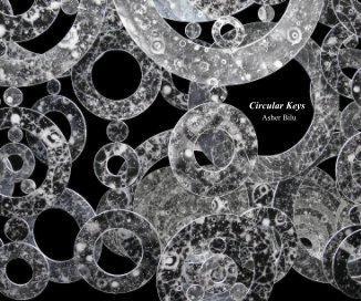 Circular Keys book cover
