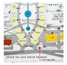 Space to Love Space to Shop book cover