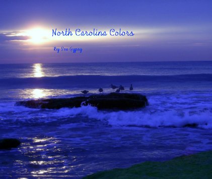 North Carolina Colors book cover