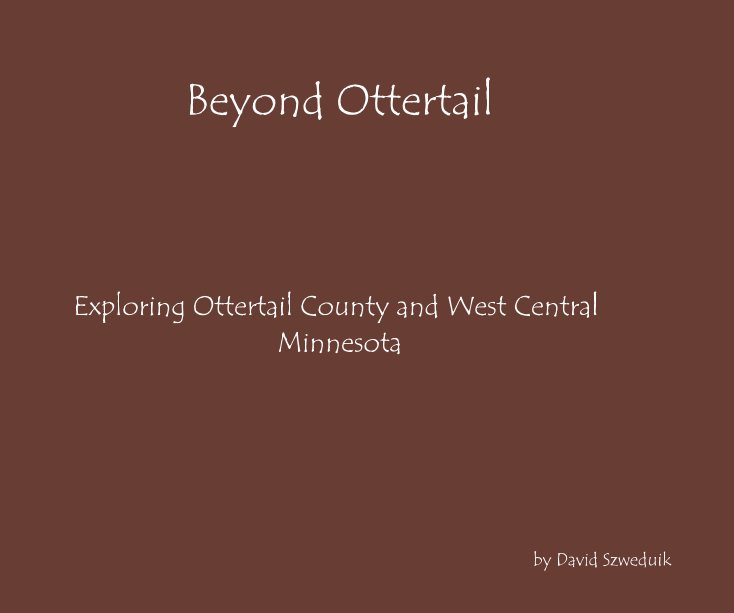 View Beyond Ottertail by David Szweduik