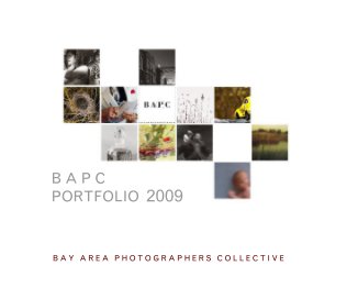 B A P C PORTFOLIO 2009 book cover