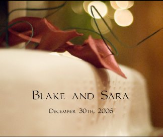 Blake and Sara's Wedding book cover