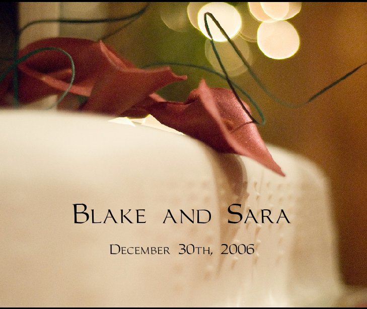 View Blake and Sara's Wedding by Blake and Sara